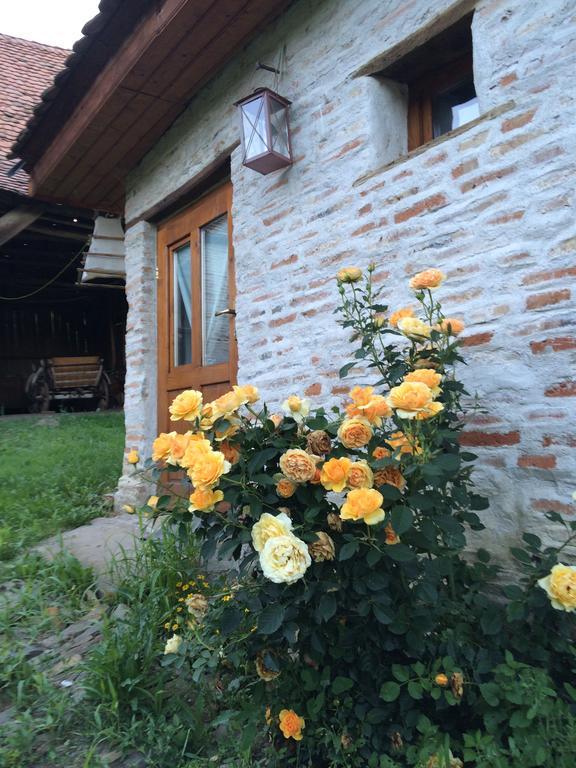 Dominic Boutique - Gardener'S Cottage Cloasterf エクステリア 写真